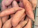 Sweet potatoes