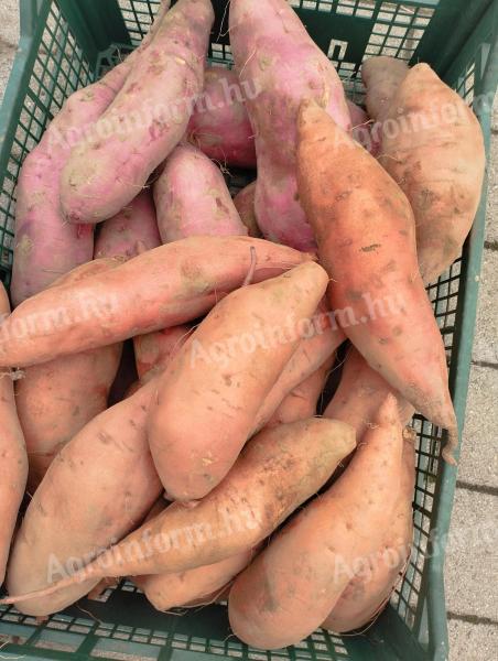 Sweet potatoes