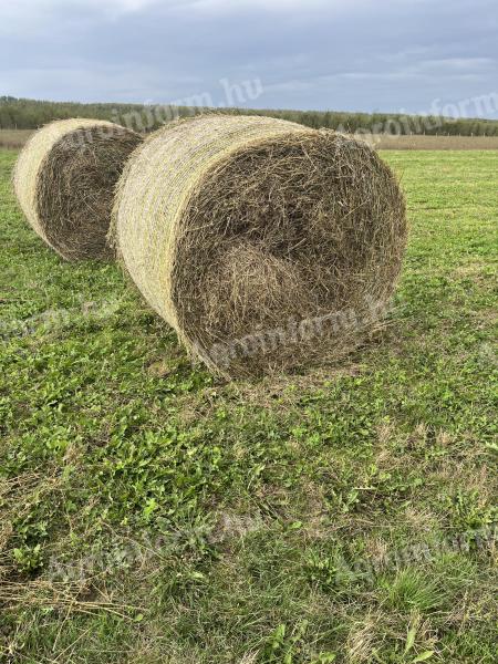 Lucerna hay bale for sale