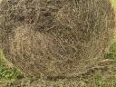 Lucerna hay bale for sale