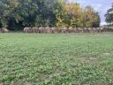 Lucerna hay bale for sale