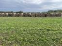 Lucerna hay bale for sale