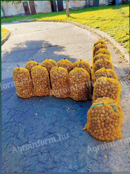 Shelled walnuts noble Milota paper shells 1200 Ft/kg, 200 kg in one piece, locally in Dombóvár