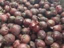 Onions and red onions for sale