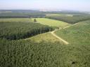 Am Stadtrand von Monostorpályi stehen 3 landwirtschaftliche Grundstücke zum Sonderpreis zum Verkauf