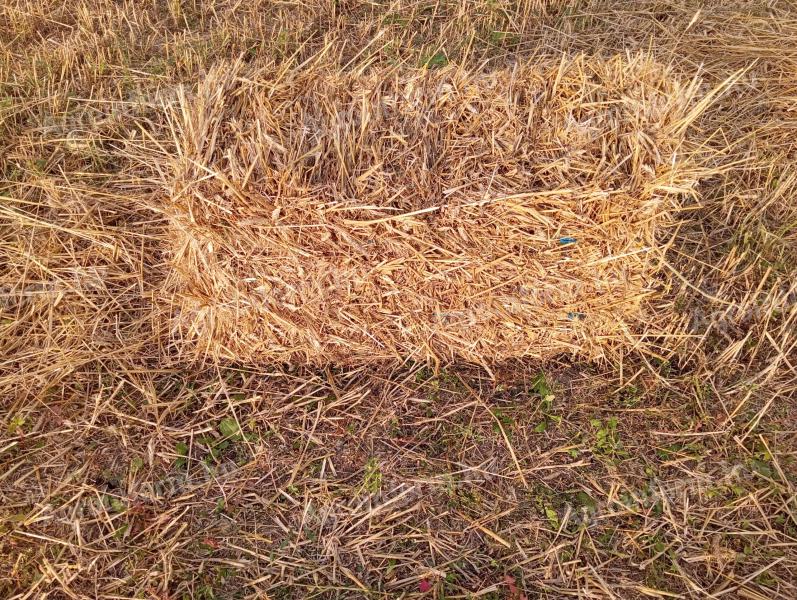 Straw bale, small bale