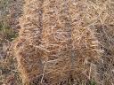 Straw bale, small bale