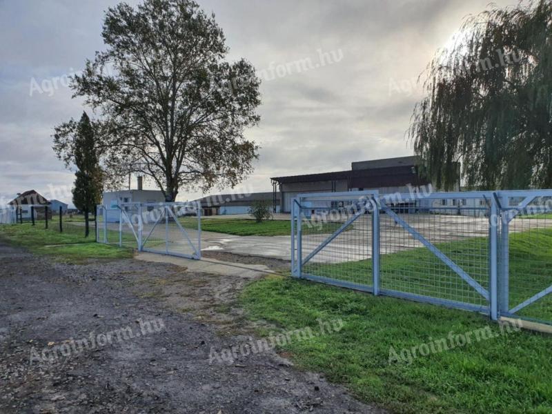 Premises for sale outside Balmazújváros