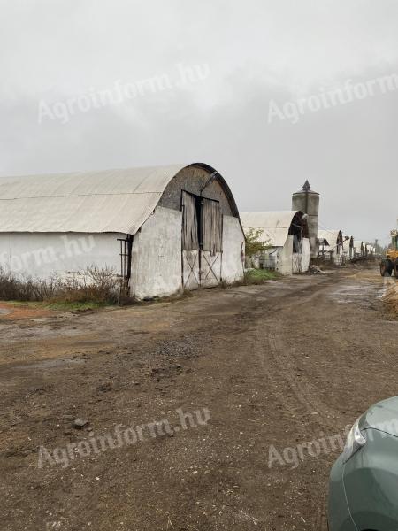 12,8 ha obsługiwane gospodarstwo na sprzedaż