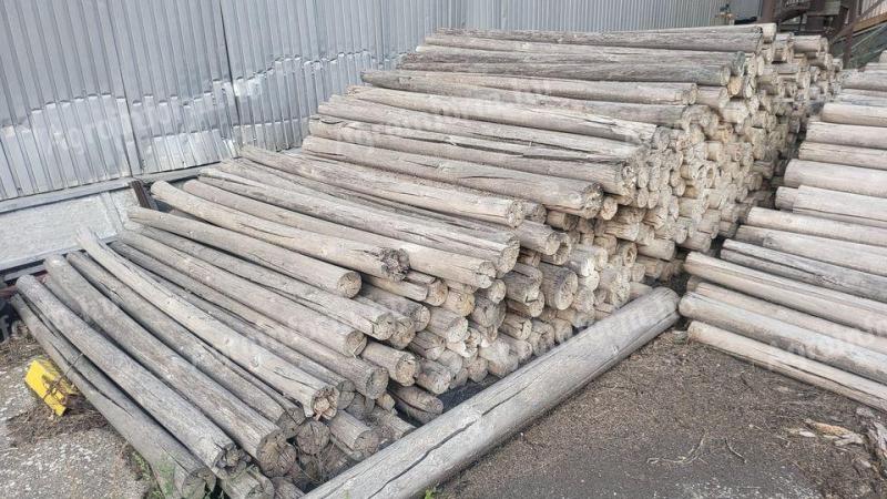 Poplar poles for fences, pens, playgrounds for firewood for sale