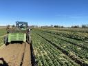 FARDIN Verdolina harvester (špinača, solata, redkev, por, radič)