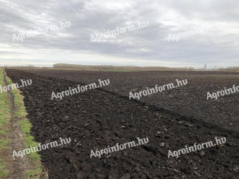 Chtěl bych si koupit nebo pronajmout zemědělskou půdu v Cigándu a okolí