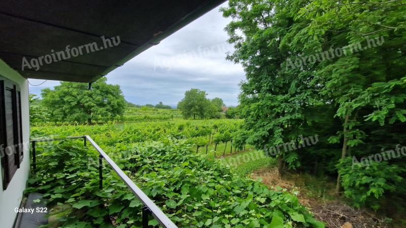 Farm building near lake Balaton with view of lake Balaton and 80% acacia