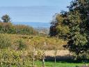 Farm building near lake Balaton with view of lake Balaton and 80% acacia