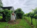 Farm building near lake Balaton with view of lake Balaton and 80% acacia