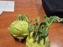 kohlrabi