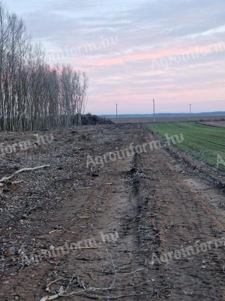 Ackerland zum Verkauf in Borbás, in der Nähe von Kecskemét