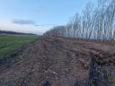 Plough land for sale in Borbás, near Kecskemét