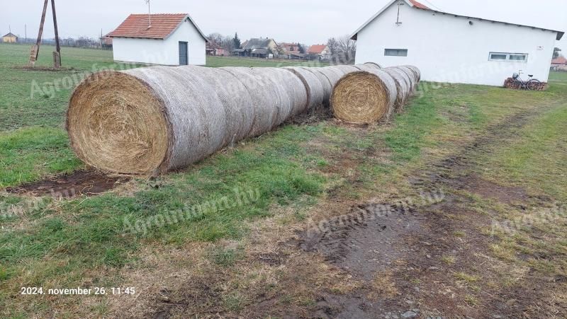 Bale of hay