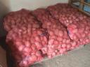 Balaton roses and impala potatoes for sale