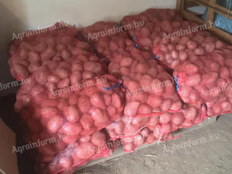 Balaton roses and impala potatoes for sale