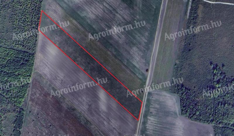 2.9 ha of arable land for sale in Hajos