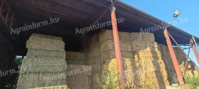 HAY LARGE CUBES