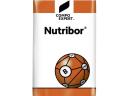 Compo Expert Nutribor Blattdünger 15 kg