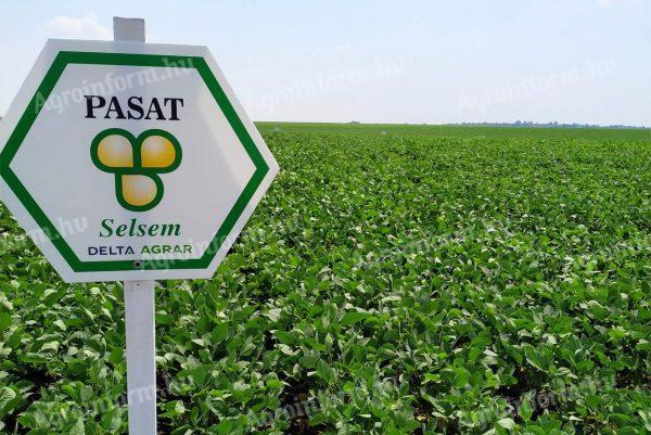 Selsem Soybean Seeds (Early maturity group) Pre-order