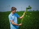 Selsem Soybean Seeds (Early maturity group) Pre-order