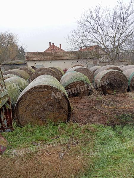 Alfalfa a balíky sena