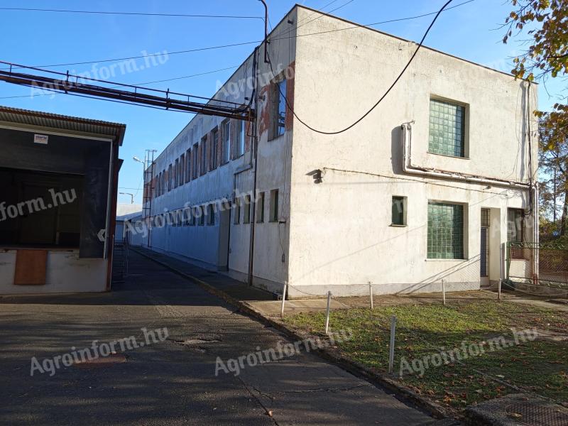 Meat processing plant for sale - Szarvas, Békés county