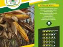 Kiskun 4291 early maturing maize seed