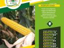 Kiskun 4368 (FAO 350) medium maize seed