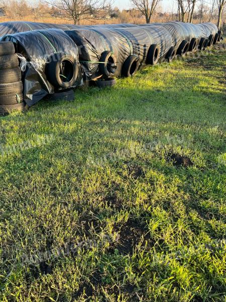 Hay for sale