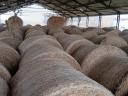 Alfalfa in travno seno za prodajo