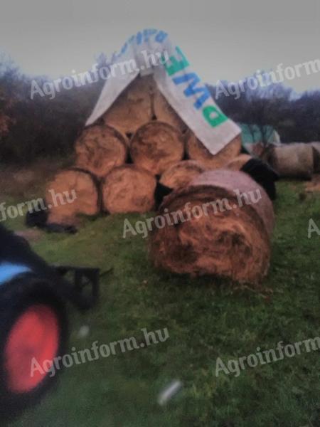 Hay bales for sale