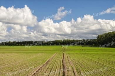 4 ha orné půdy v průmyslové zóně na prodej v Nyírbogdány