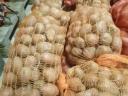 Potatoes, seed potatoes for sale from a farmer