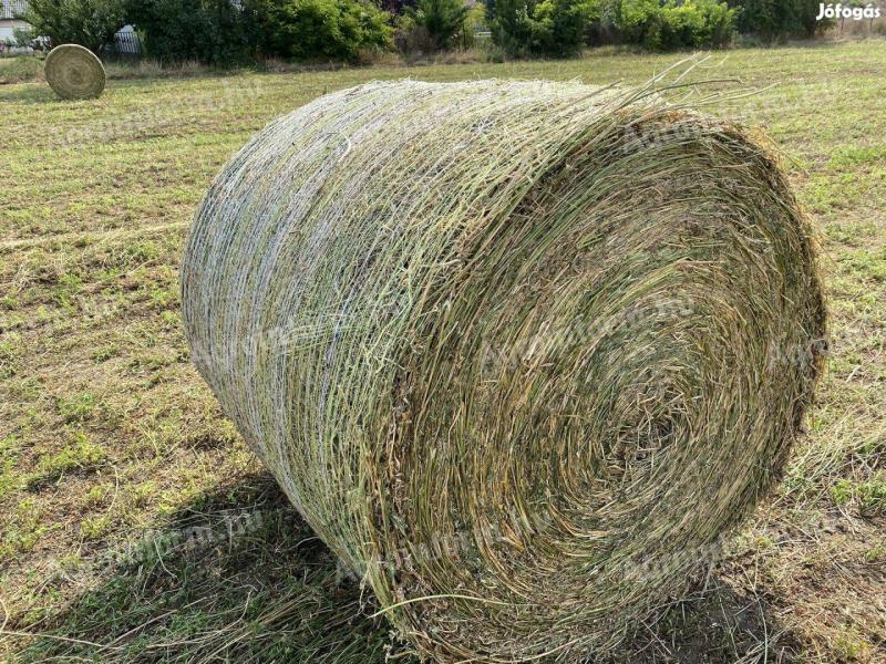 Cylindrical hay bale