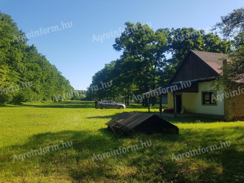 80 000 m² (8 ha) plot/property