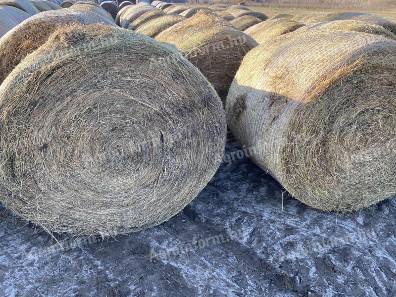 Grass hay, lucerne hay for sale