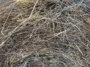 Grass hay, lucerne hay for sale