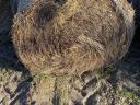 Grass hay, lucerne hay for sale