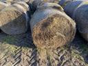 Grass hay, lucerne hay for sale