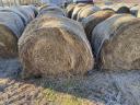 Grass hay, lucerne hay for sale