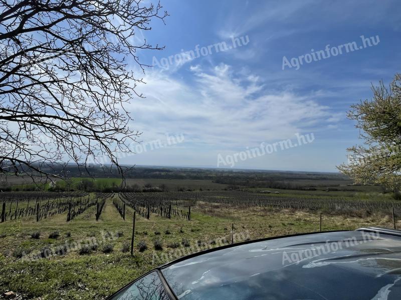 8 ha Weinberge zum Verkauf in der Weinregion Villány