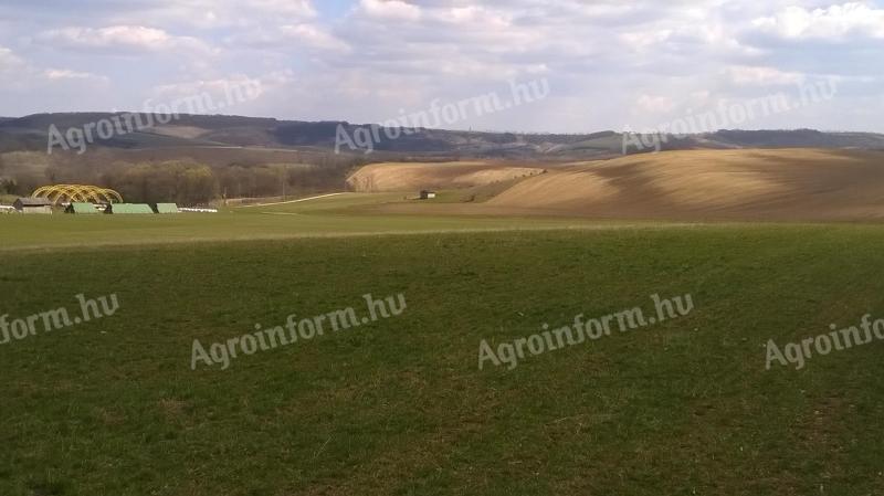 Landwirtschaftlicher Mitarbeiter