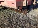 Ih 6200 seed drill