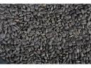 Bird feed, black sunflower for sale